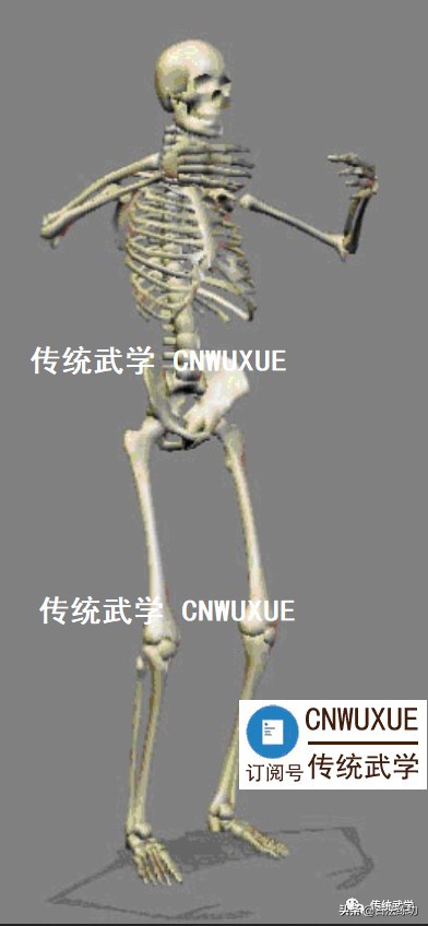 站桩上下意念,站桩简析