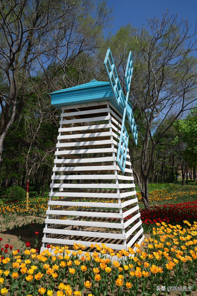 从沈阳去三亚旅游攻略路线推荐图,沈阳旅游攻略三日游最佳路线