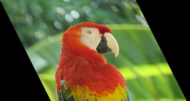 常见的图像处理方法有几种,简单的图像处理知识