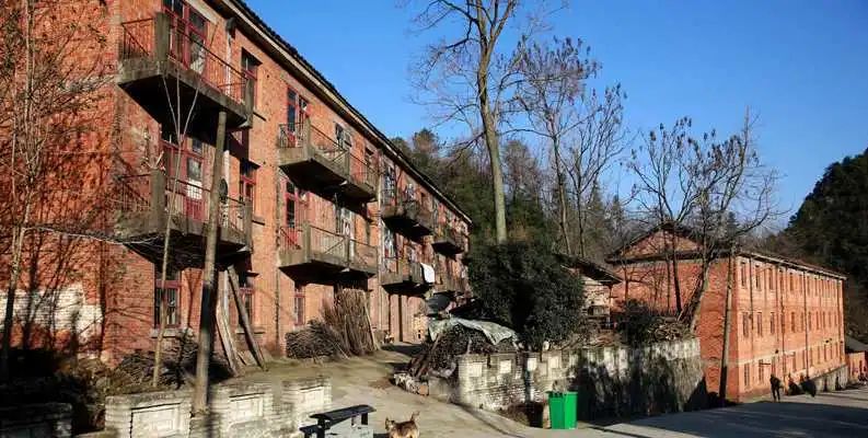 扶贫人物故事——谷城县：郭峪村里的养蜂人