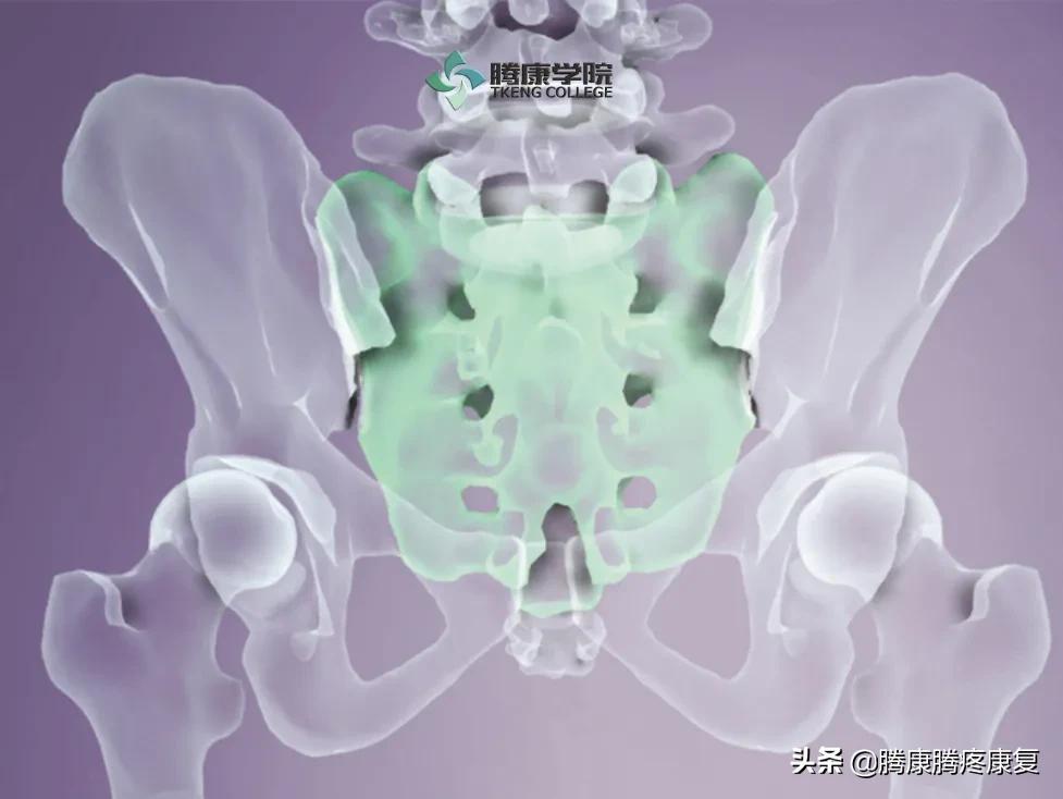 骶骨疼痛手法处理,骶骨后翘正骨手法