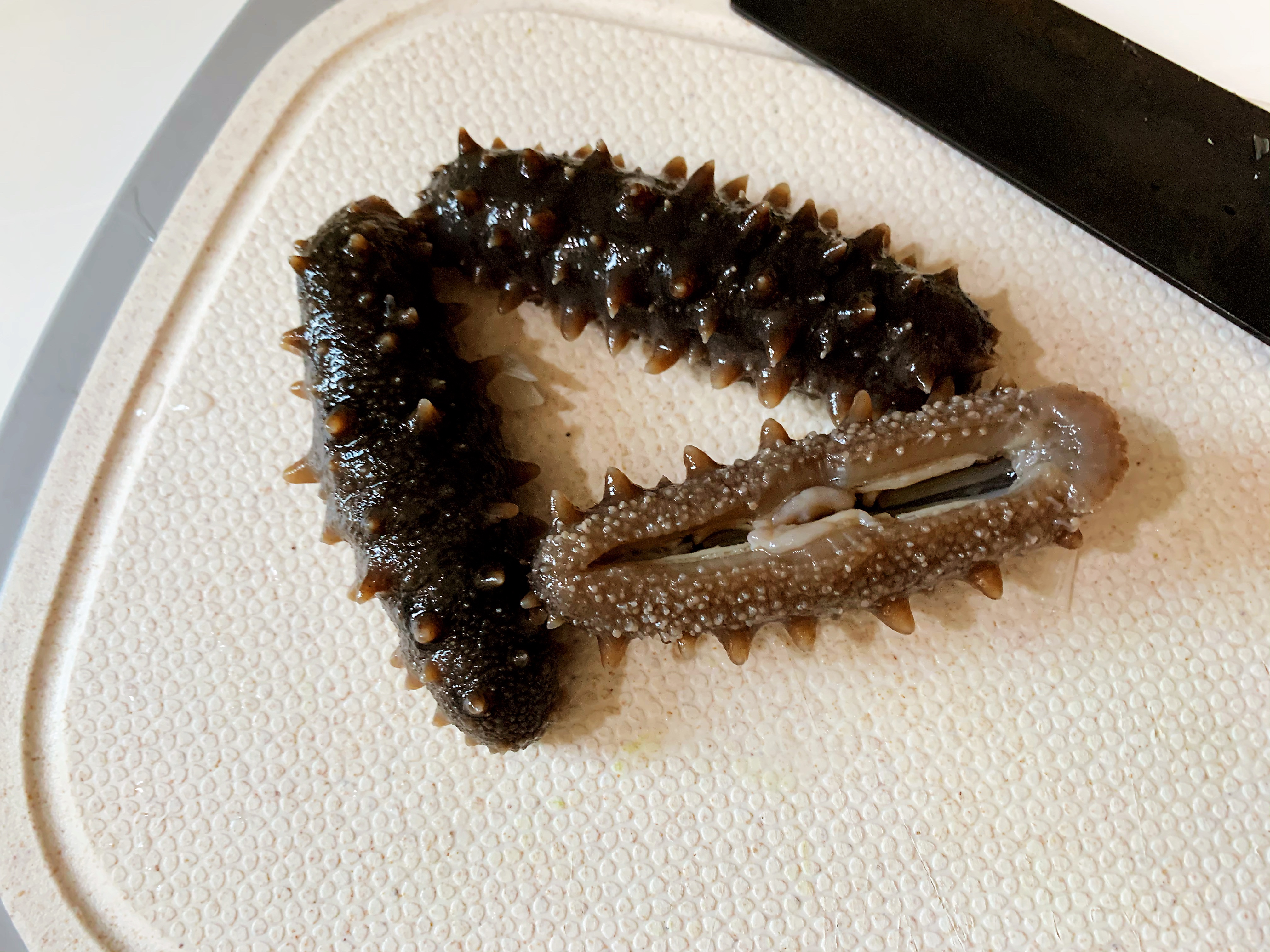 家常大葱烧海参正宗做法,好吃又简单的葱烧海参教程做法