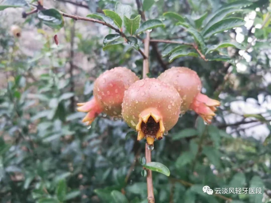 五一的北海涠洲岛,北海涠洲岛三天两夜旅游攻略