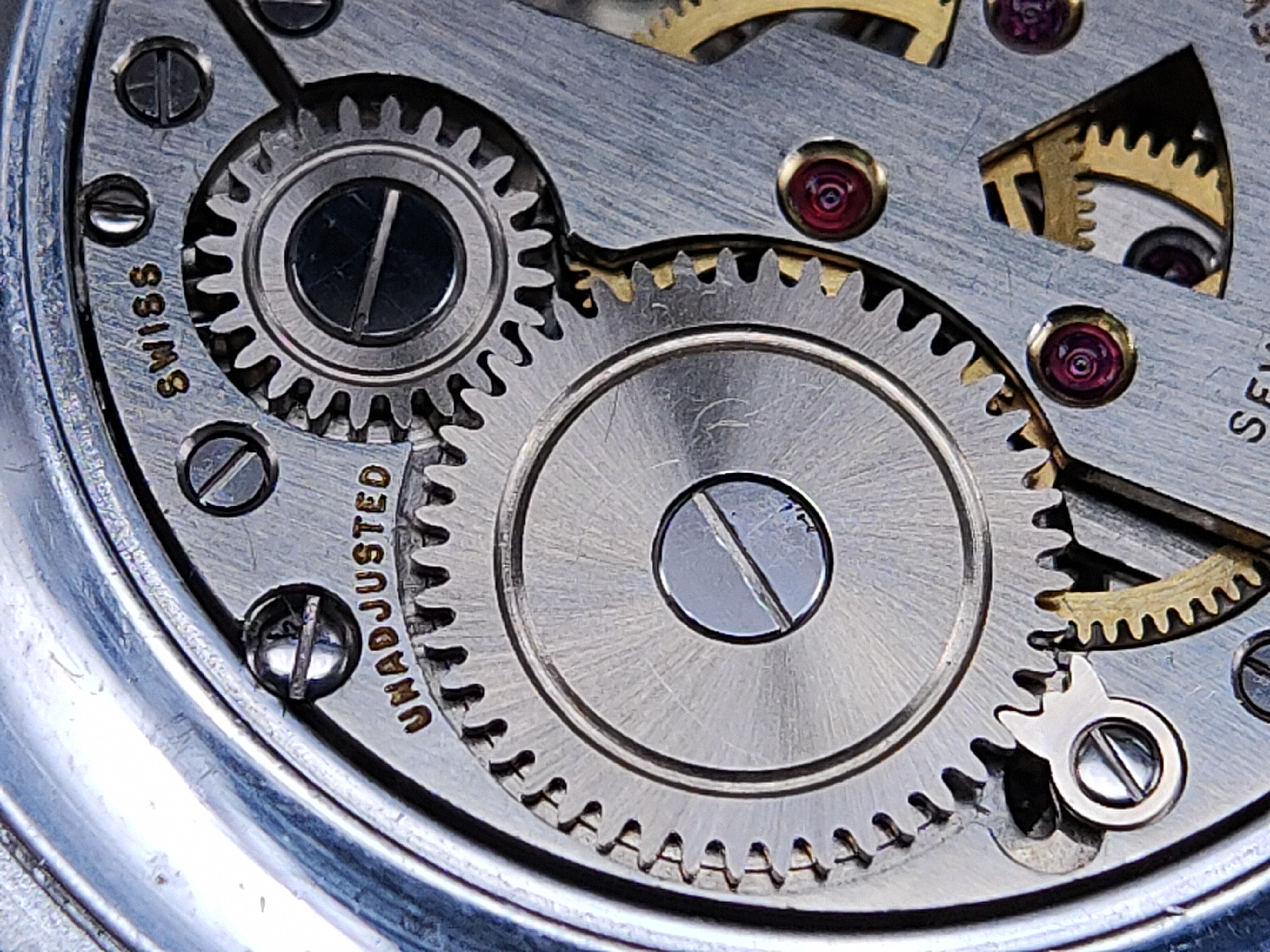 因为一条鱼爱上一个人,因一条鱼丢了一条命