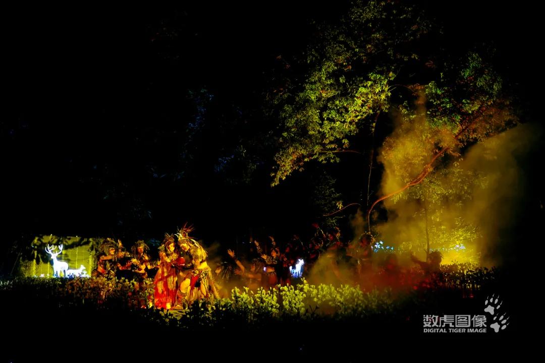 中秋国庆灯光秀节目单,国庆中秋灯光秀视频