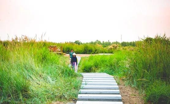 兰州新区三月游,五一兰州新区游