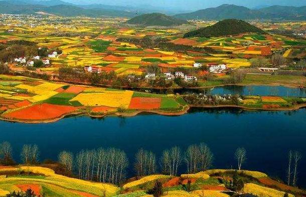 中国赠送日本最珍贵的动物，并非大熊猫，帮助日本皇室摆脱尴尬