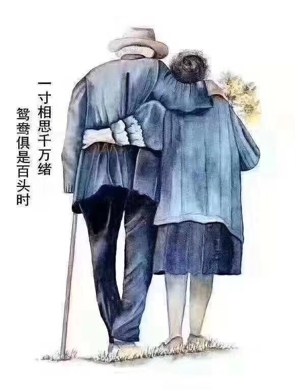 我的子宫肌瘤开腹手术经历,我的子宫肌瘤手术经历