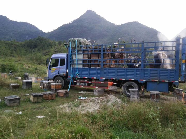 几十块钱买两斤蜂蜜靠谱吗？