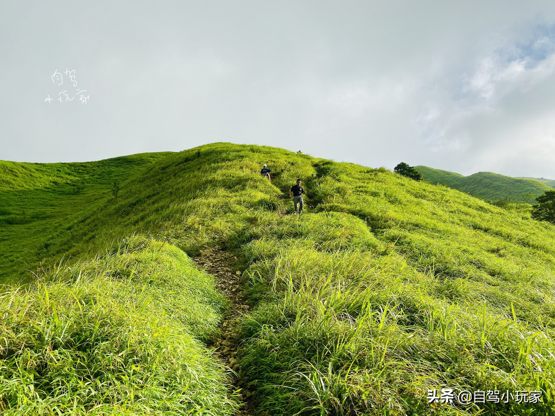 深圳哪有深幽秘境美景,深圳最安静的旅游地方