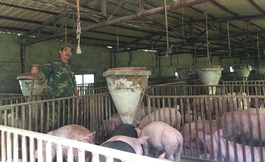 养猪场招博士生,养猪场硕士招工