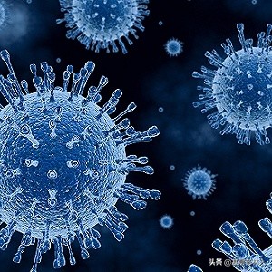 穿山甲为啥成为新冠肺炎宿主,穿山甲是冠状性肺炎的源头吗