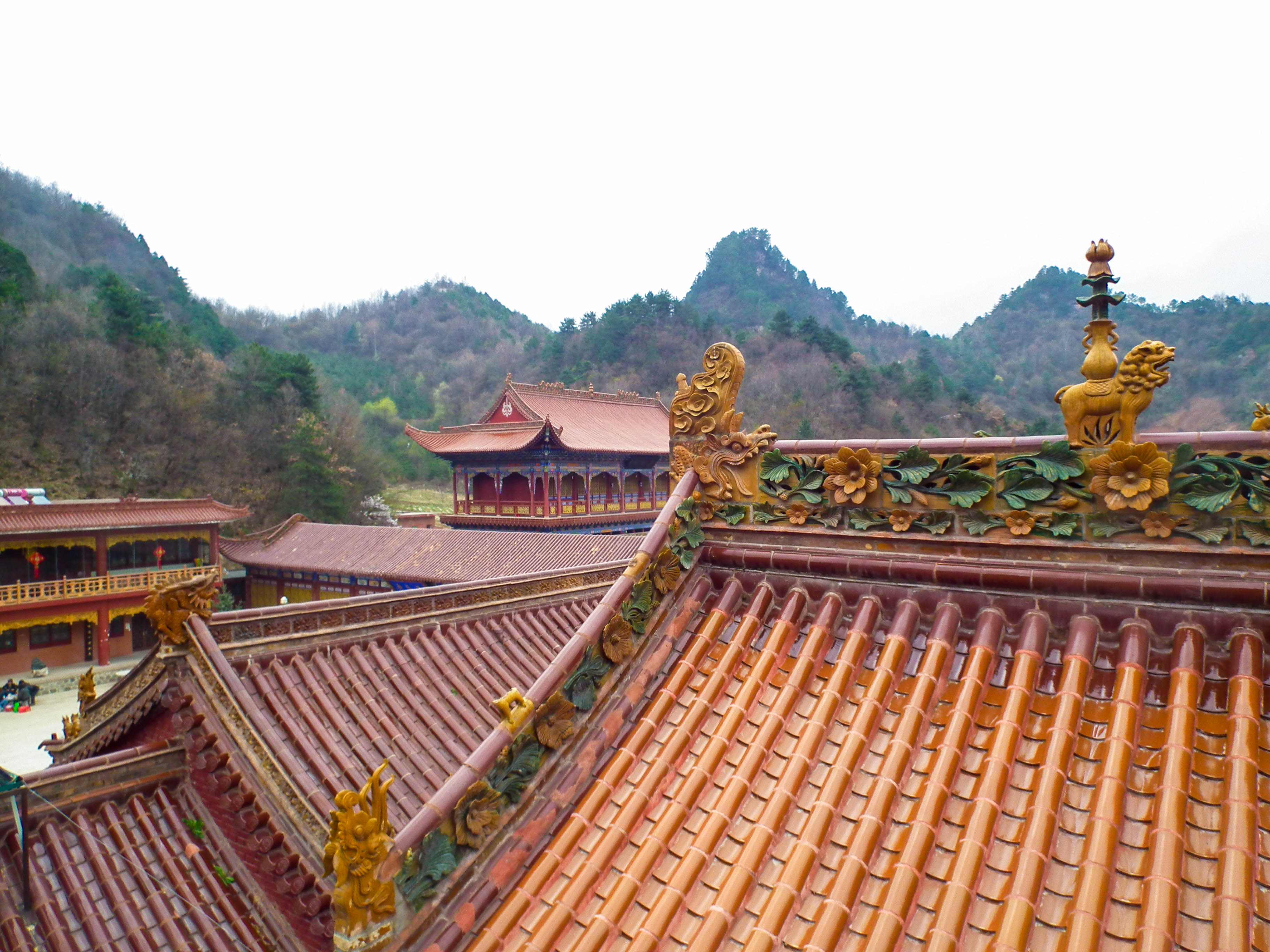 天水净土寺旅游打卡照片,天水净土寺雪景