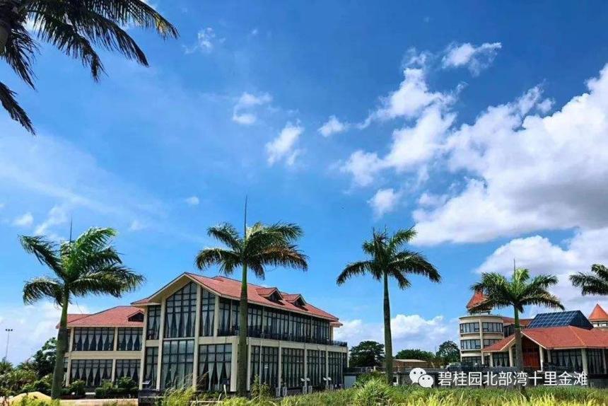 久居养生,坐享升值,碧桂园十里金滩,海景房中的潜力股