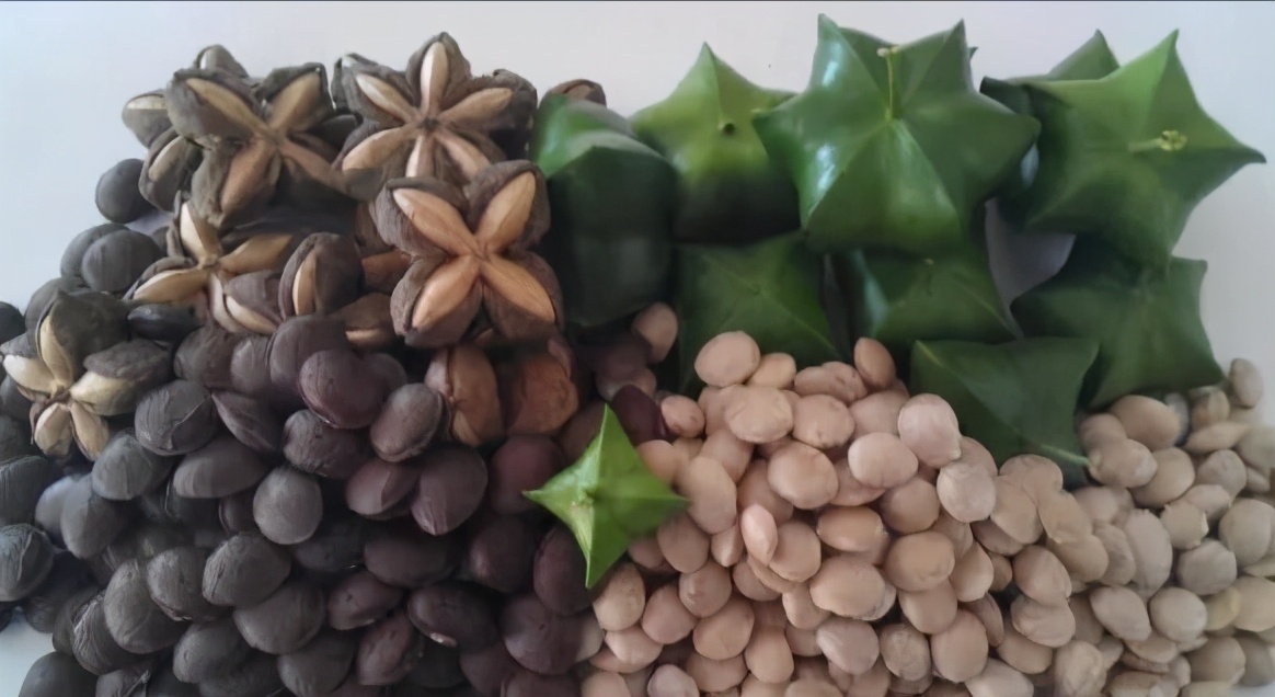 美藤果油真的有那么好吗,长期食用美藤果油的好处