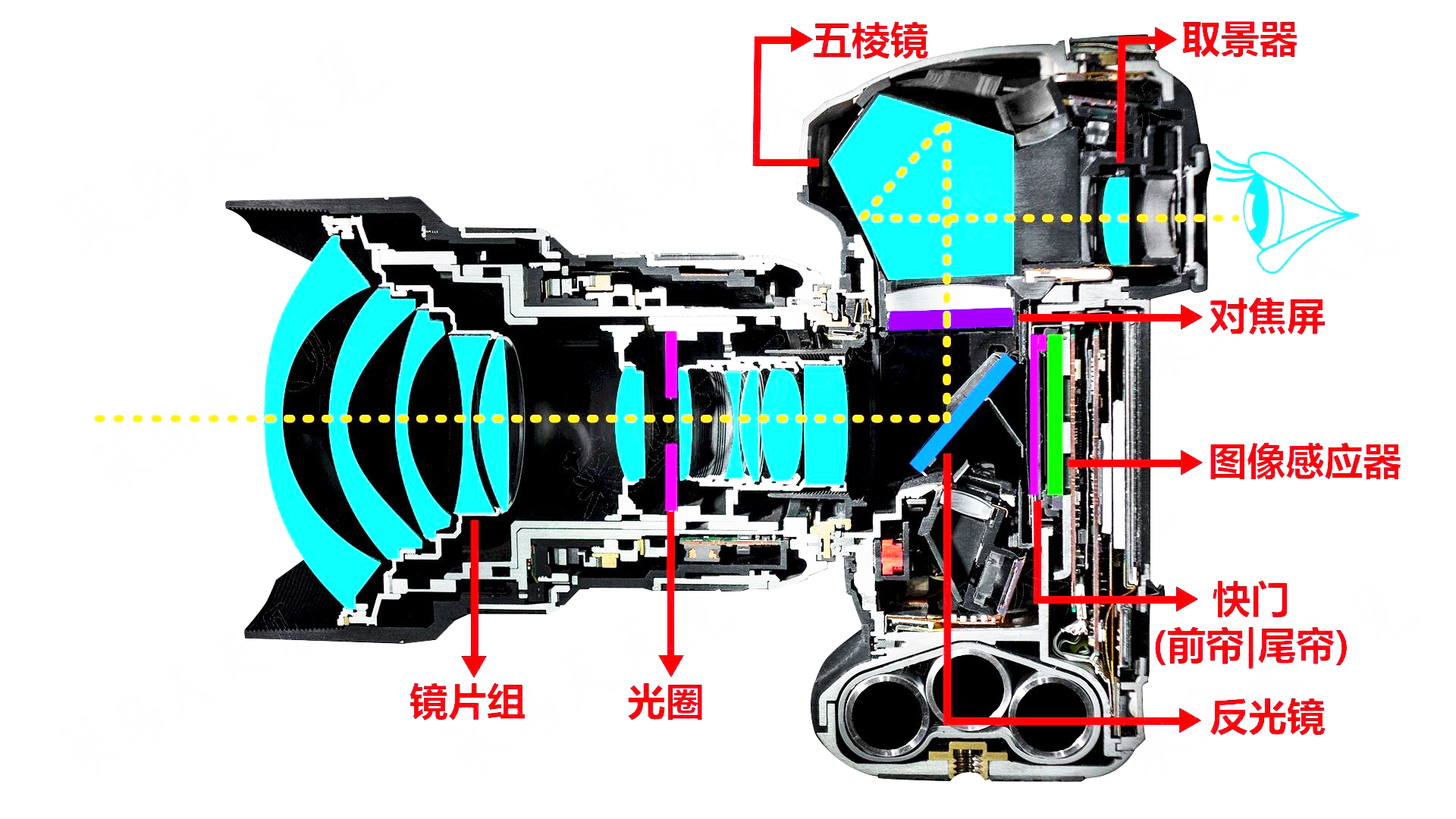 一分钟了解摄影技巧如何做好摄影,对摄影摄像的了解