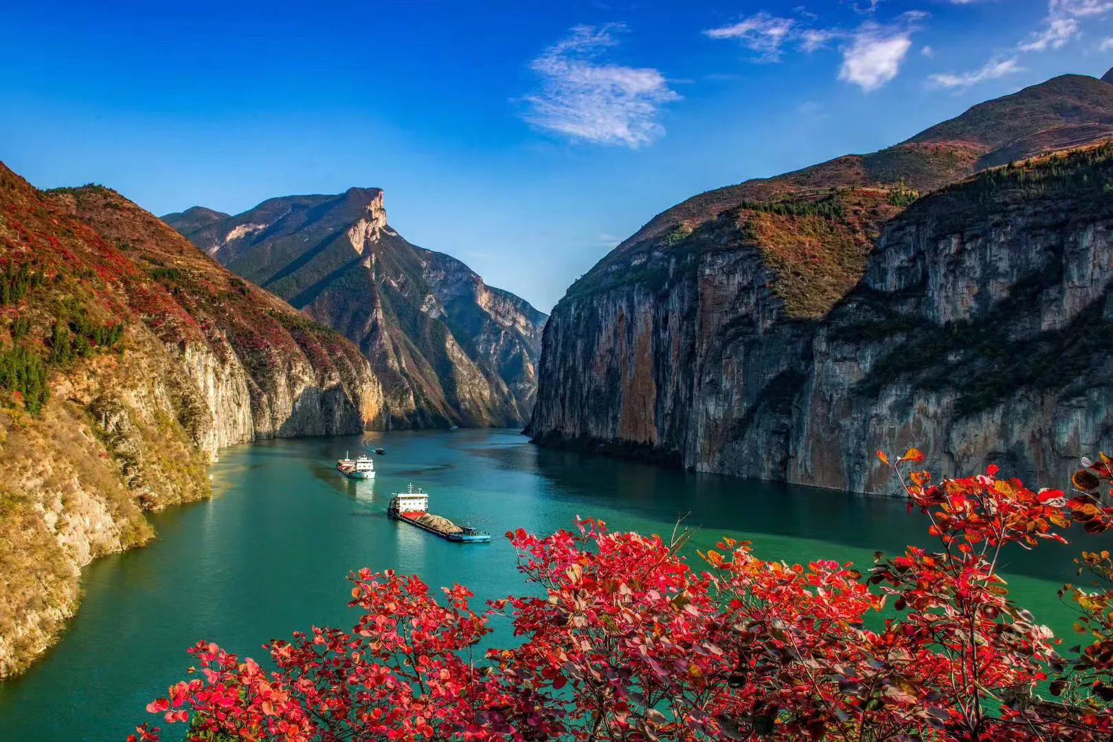 电商风云刘强东,电商风云陈年