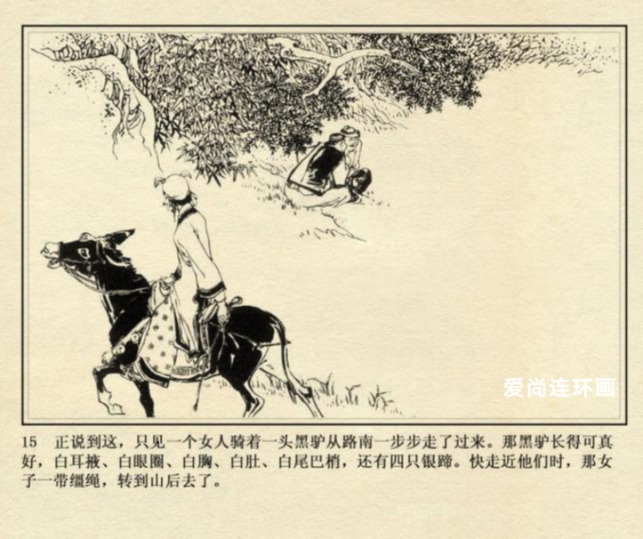 侠女十三妹连环画横屏,徐有武侠女十三妹连环画