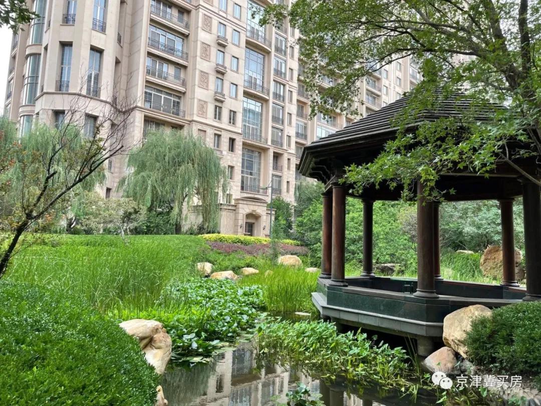 朝青2018年价格,朝青价格走势