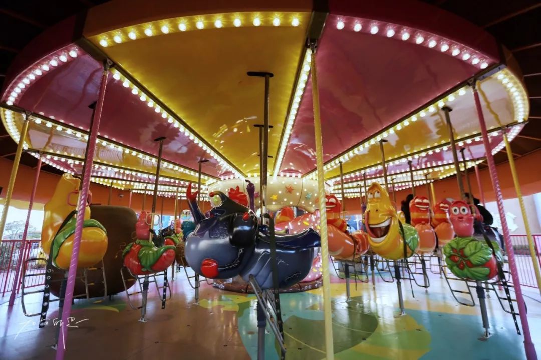 济州岛应该冬天去还是夏天去,冬日济州岛怎么玩