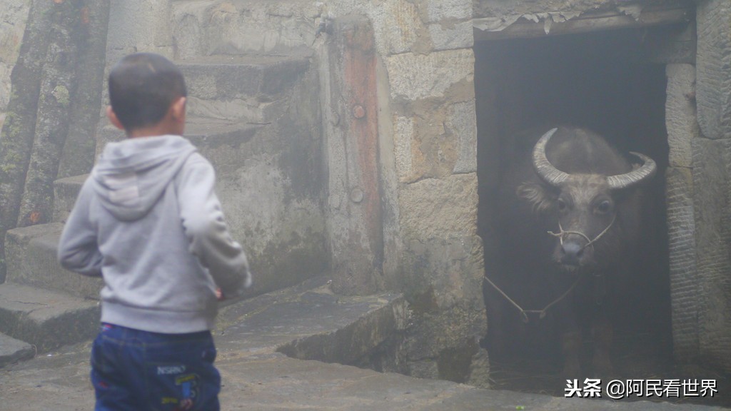 云南普者黑元阳坝美6天旅游攻略,云南建水普者黑旅游路线