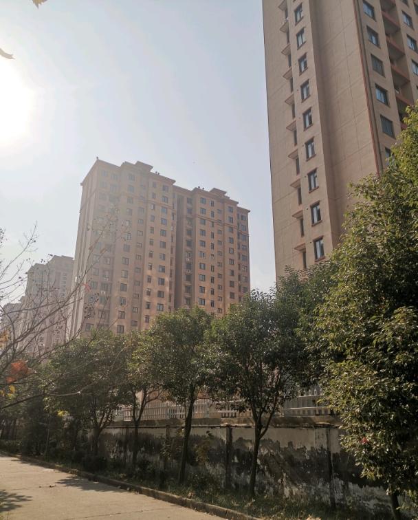 宋跳前景,宋跳有发展吗