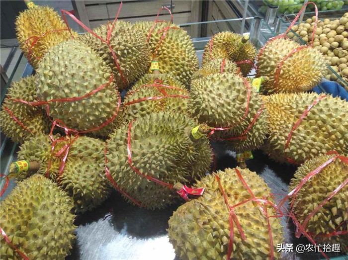 品质越来越差，价格突破30元/斤还在涨，商家仍抢着收购，真坑