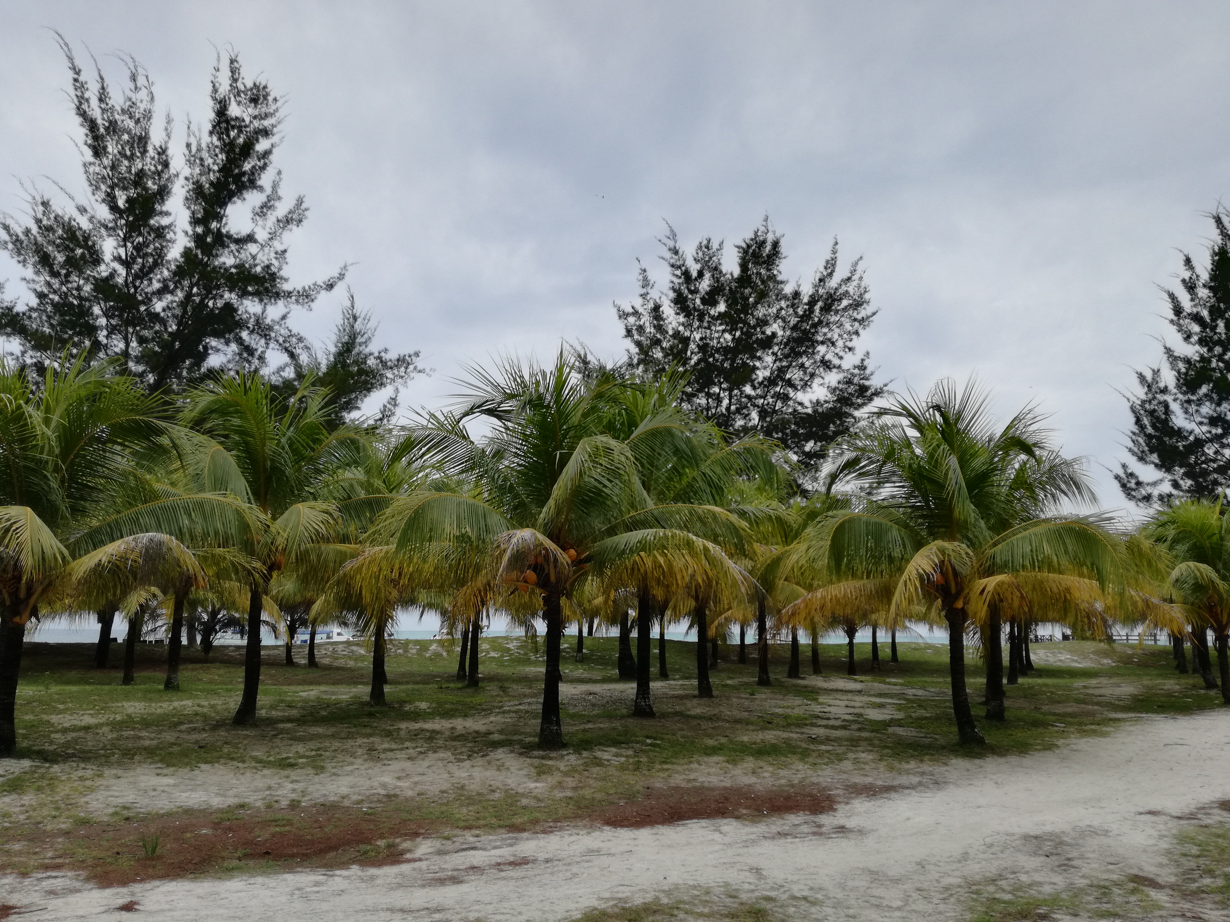 沙巴潜水推荐,马来西亚沙巴潜水哪里好