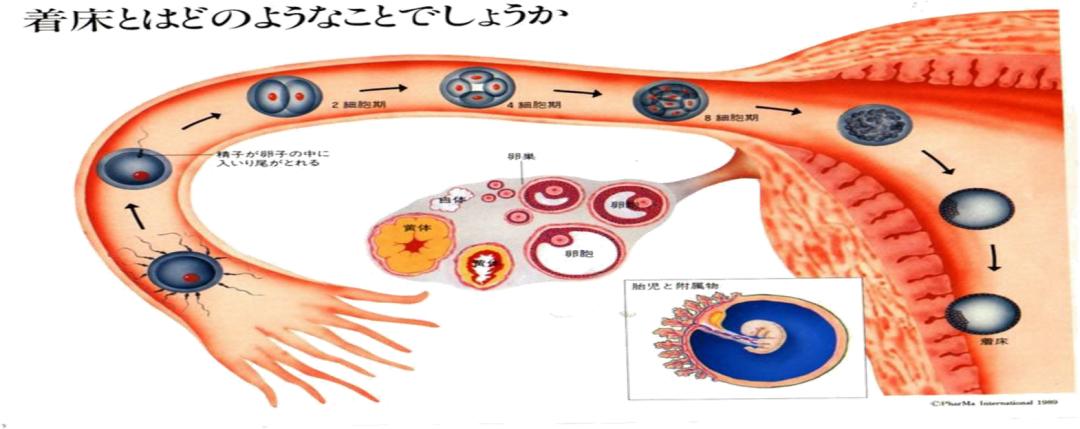 输卵管问题如何备孕,输卵管出现问题怀不上