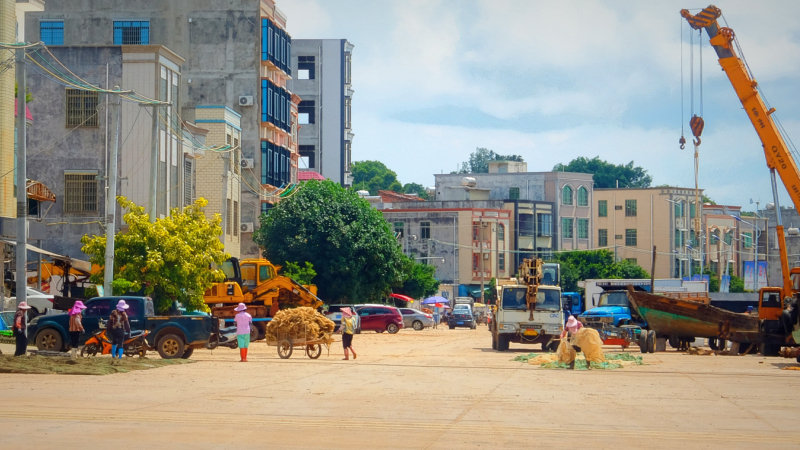广东湛江景点及美食攻略,广东游记湛江市最美味的海鲜