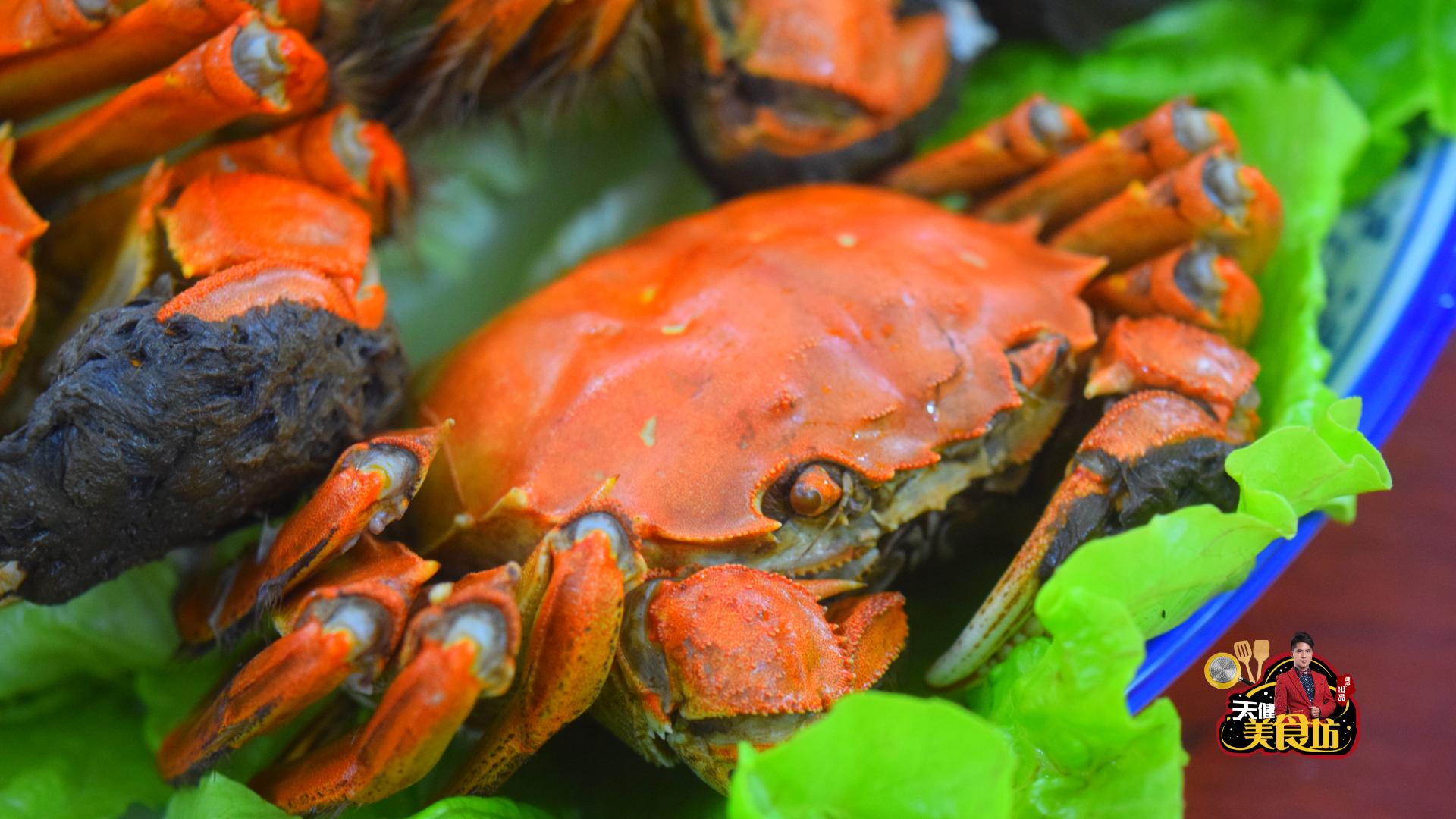 团购1000只大闸蟹试吃,试吃阳澄湖大闸蟹视频