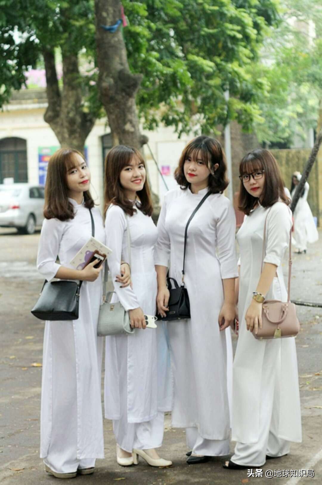 你得不到的越南姑娘｜地球知识局