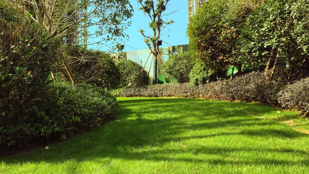 新力金沙湾,新力金沙湾视频