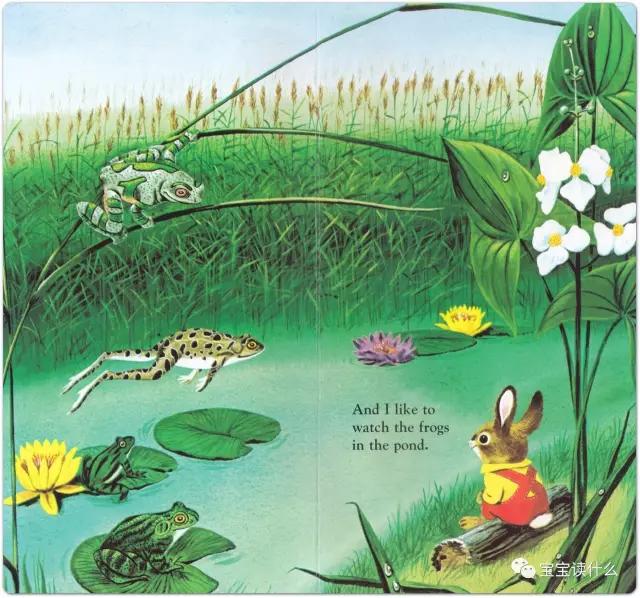 iamabunny作者,iamabunny歌曲