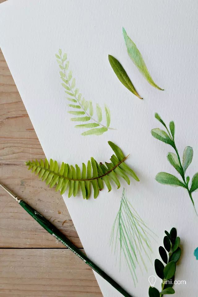 水彩写实草丛画法简单,秋叶彩绘技巧