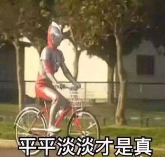 “猫咪*魂迷**水”真实存在吗?费洛蒙才没有吹得那么神