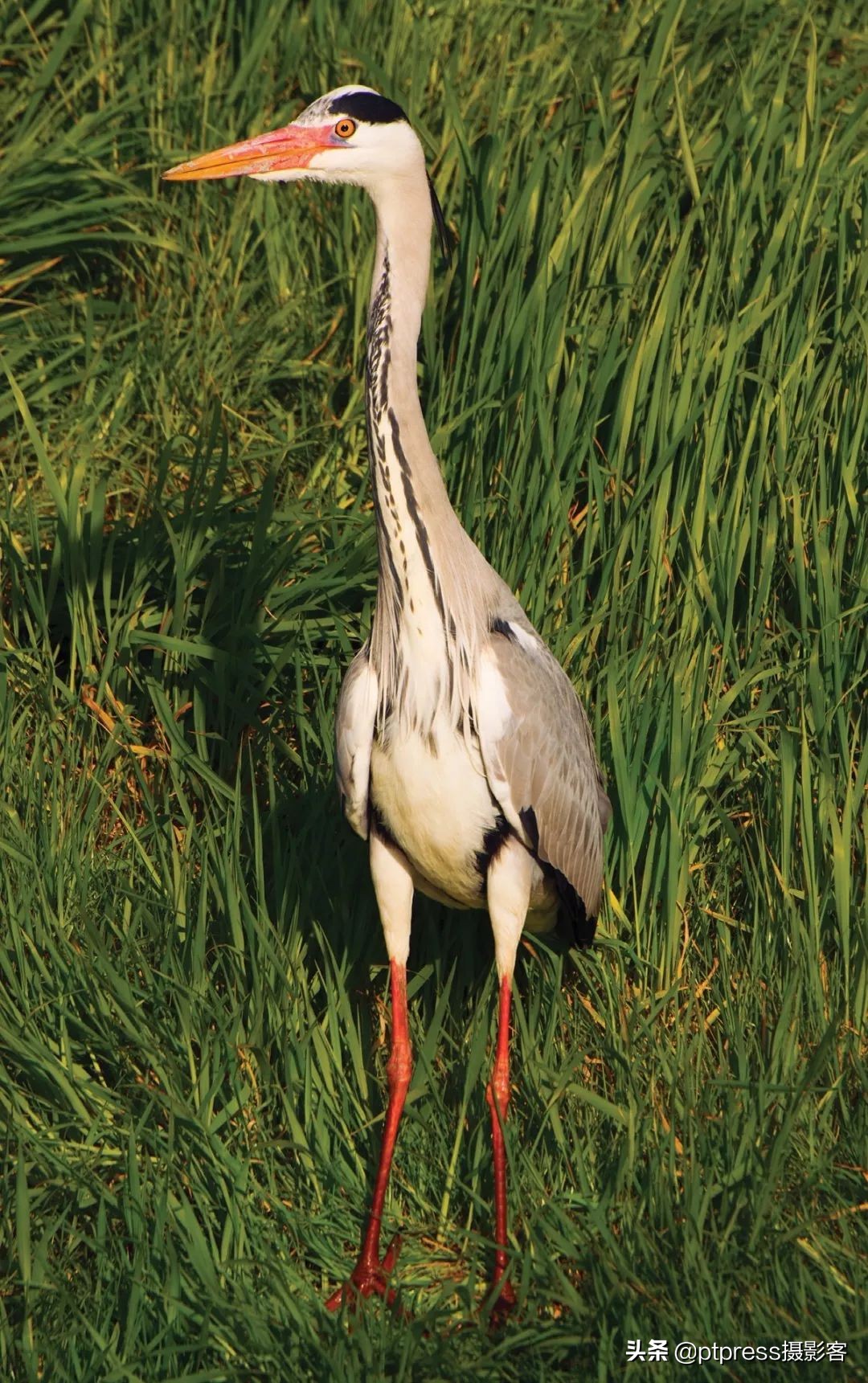 光圈值越大光圈越大正确还是错误,相机光圈与镜头光圈的关系