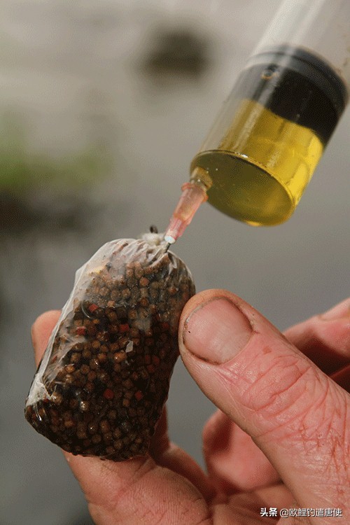 欧鲤钓远投主线用几号,话说欧鲤钓之抛投技巧