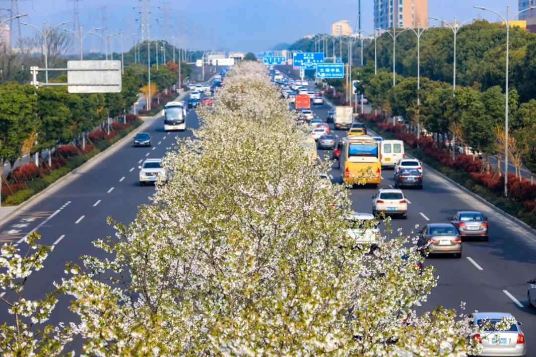 家在北仑,我有一个家北仑