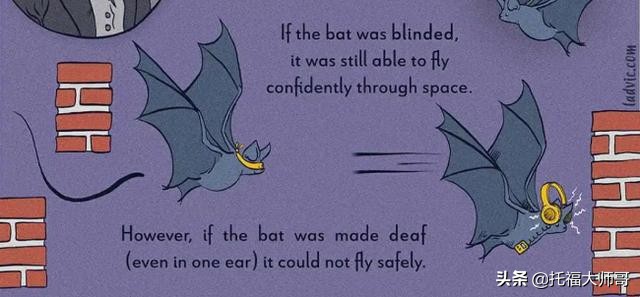 为什么做b超每次结果都不一样,医生问为什么来做b超有什么含义