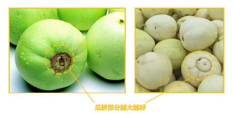 买香瓜时一定要挑选大的吗?详解挑选技巧,吃起来更加香甜可口