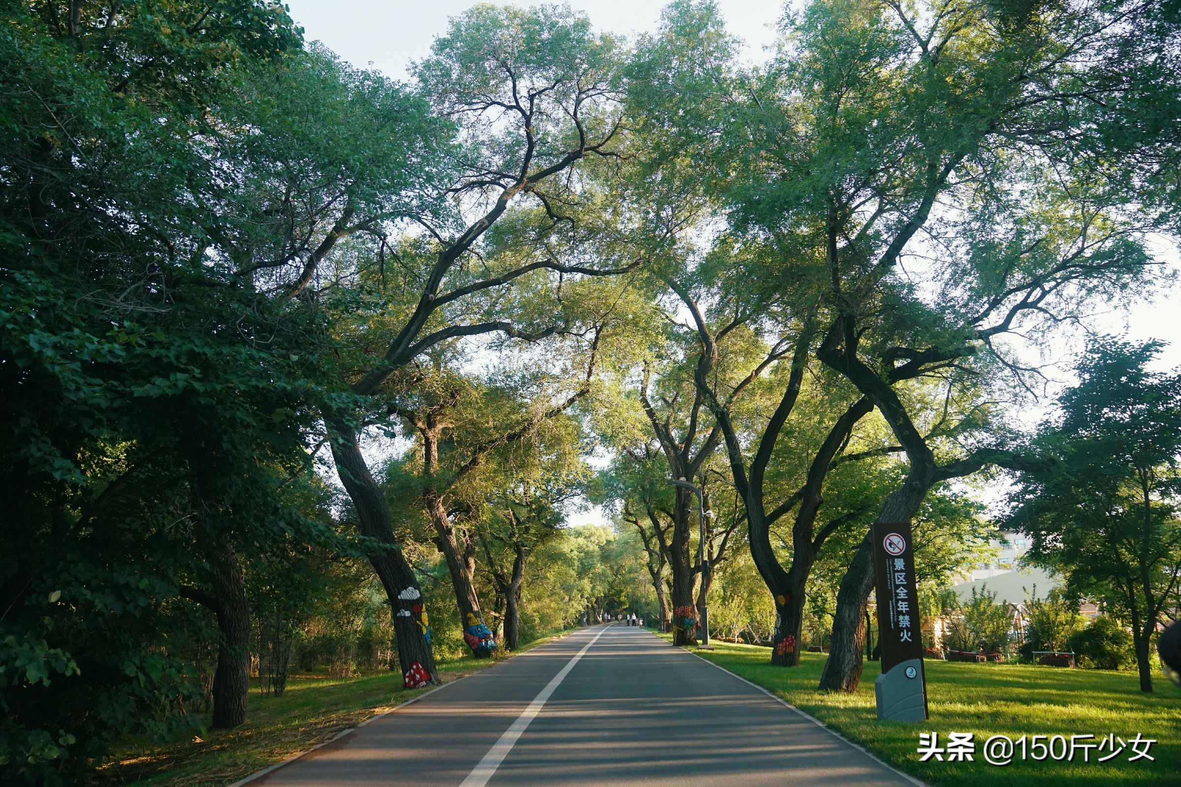 吉林旅游攻略自由行三天两晚住宿,吉林旅游自由行攻略图片大全