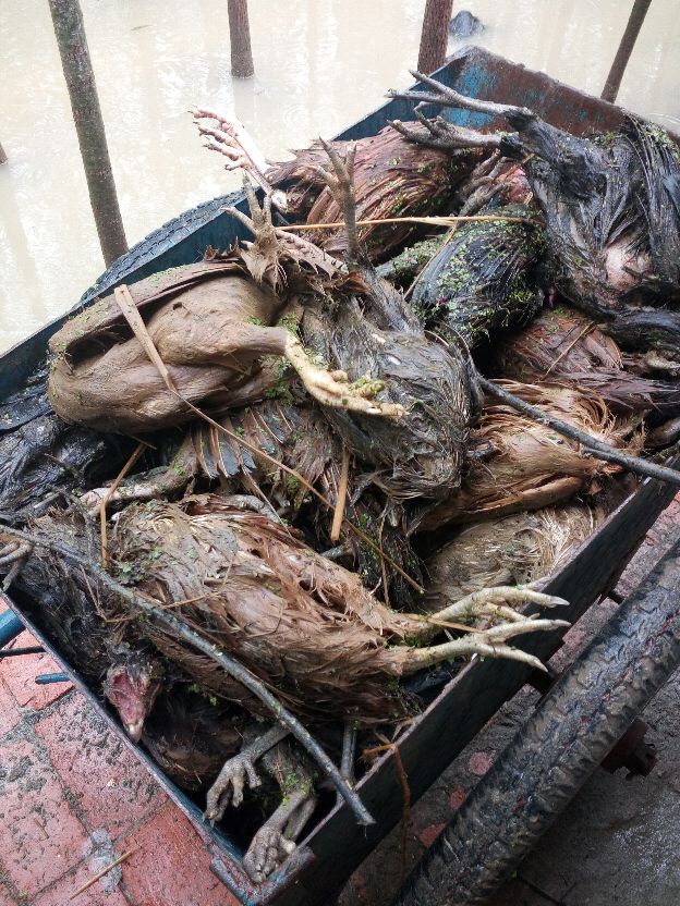 返乡创业农村生活现实记,农村生活与创业之路欢迎进来交流