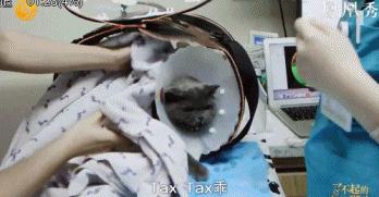 8.1国产良心,分分钟救你「狗命」