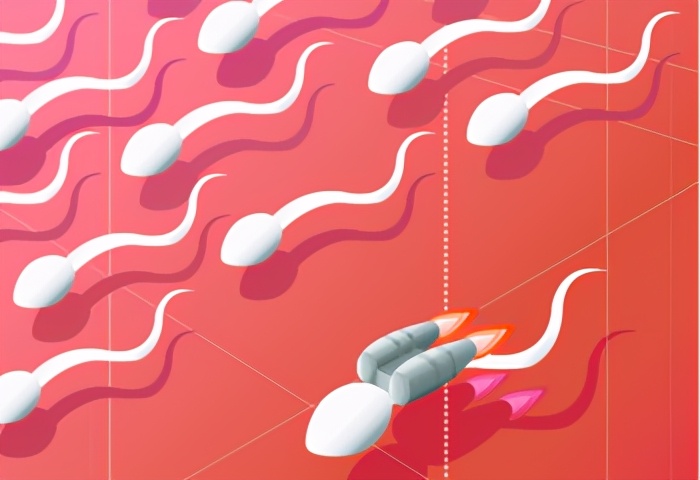 人类小蝌蚪怎么发育出来的,人类小蝌蚪是从哪儿来的