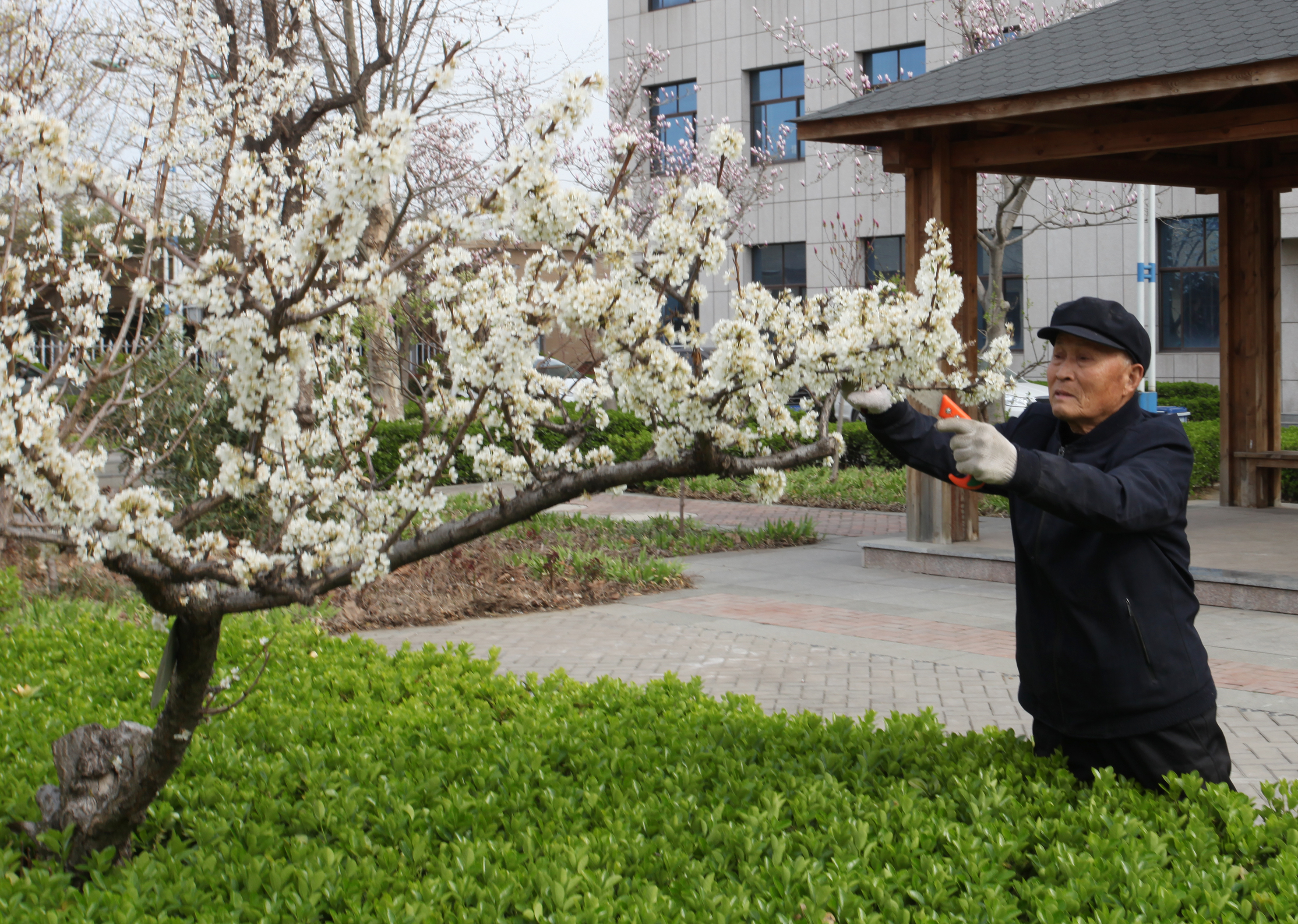 这家医院像花园——赵伟摄影、撰文