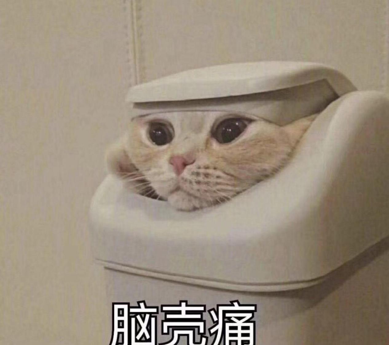 冬天戴围巾欧美,冬天围巾这样系百搭时尚