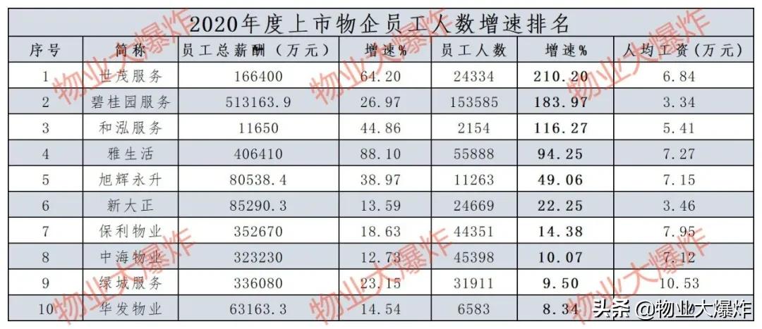 碧桂园项目总年薪,碧桂园的薪资标准