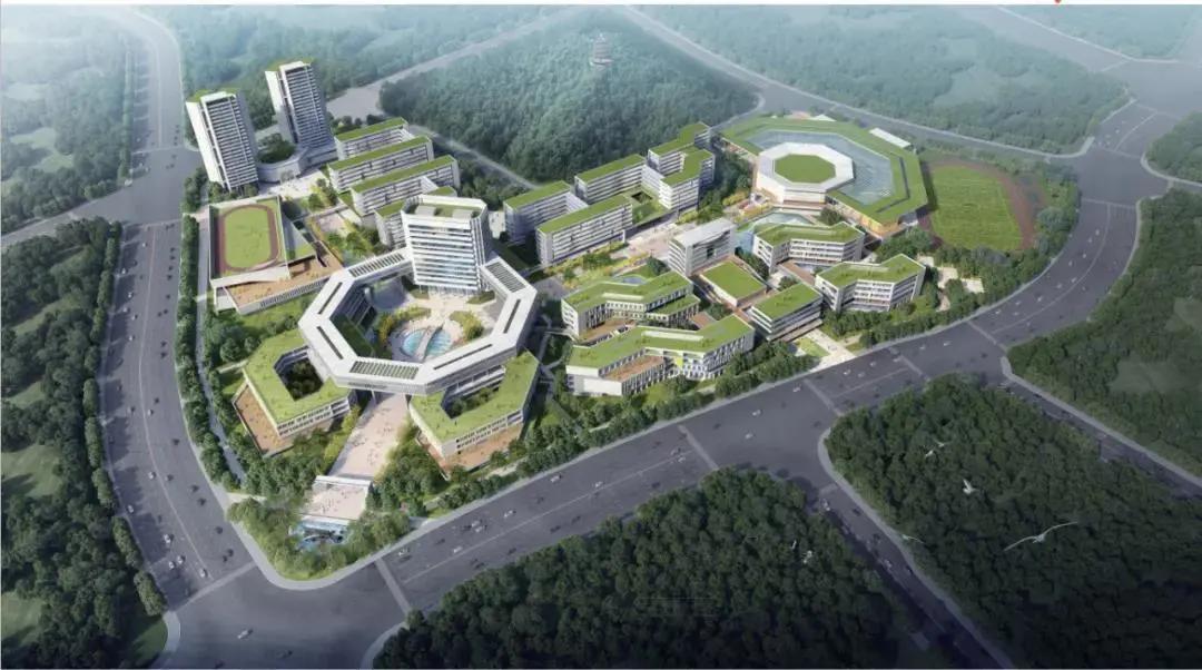 黄埔教育最好的楼盘,广州黄埔最好的学位楼盘