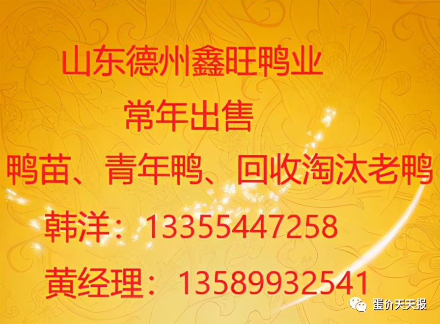 2019年1月24号全国鸭蛋价格,2022年4月12日鸭蛋价